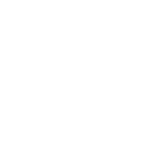MP4